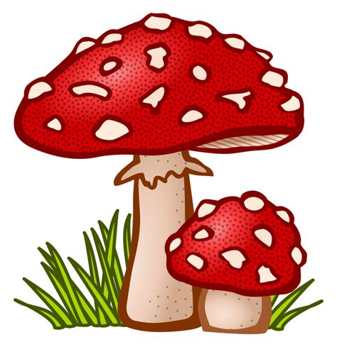 toadstool - coloured - Openclipart