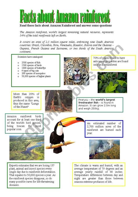 Facts about Amazon rainforest - ESL worksheet by athos466