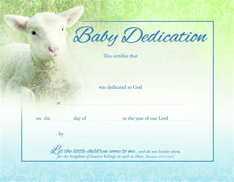 Baby Dedication Certificate (Pk of 6) - Coated, Full Color (Other ...