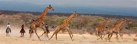 Waterberg Mountains - Africa and Beyond