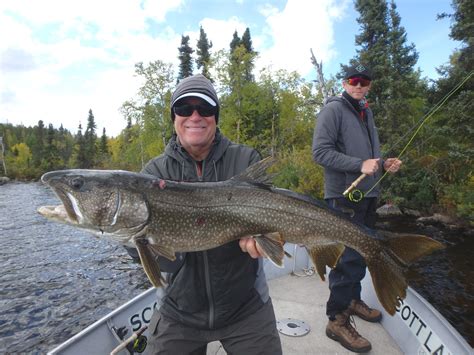 Lake Trout Fishing Canada Experience | Scott Lake Lodge