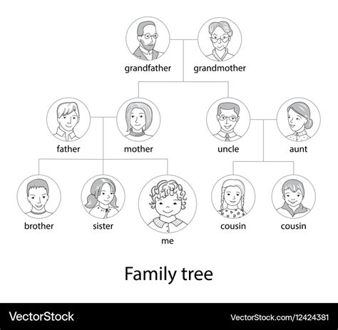 Family tree chart thin line style Royalty Free Vector Image