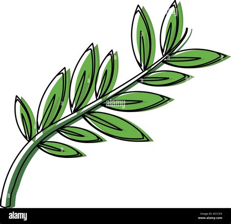 olive branch leaf peace flora symbol Stock Vector Image & Art - Alamy