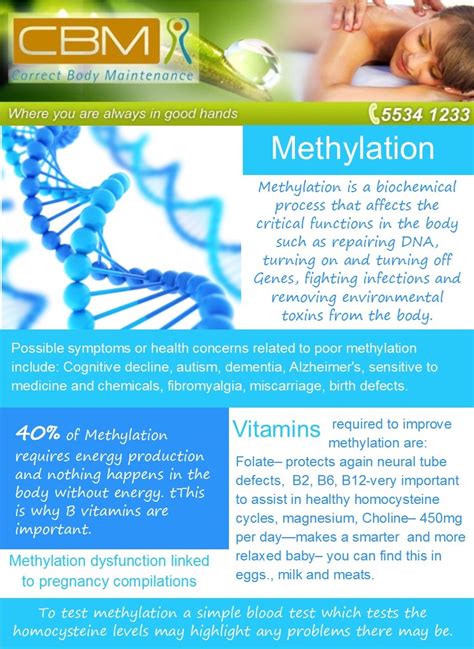 Methylation | Correct Body Maintenance