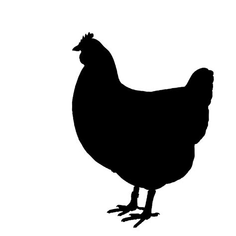 Chicken Silhouette Clipart Free Stock Photo - Public Domain Pictures