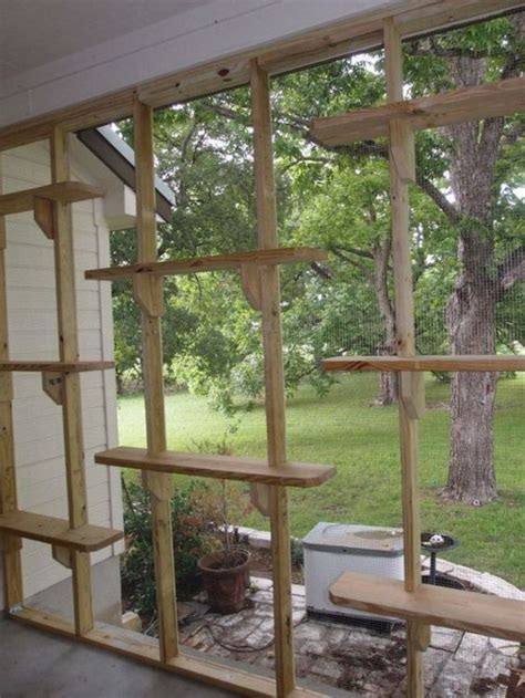 30+ DIY Catio Ideas That Are Totally Pawsome - HubPages