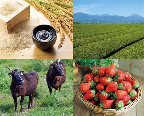 Creating Vibrant Communities by Expanding Agricultural Exports | The Government of Japan ...