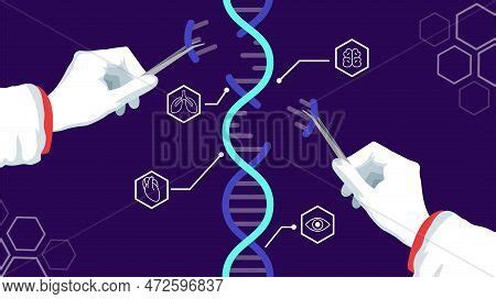 Dna Edit. Baby Vector & Photo (Free Trial) | Bigstock