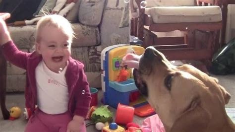 Babies Laughing at Dogs Eating Bubbles Compilation 2013