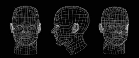 Premium Vector | 3d model wireframe of human head vector illustration