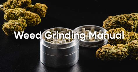 How to Grind Weed (with a Grinder or By Hand) – Hey abby