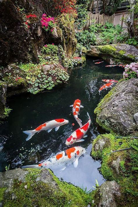 20+ Cool Fish Pond Garden Landscaping Ideas For Backyard Fish Pond ...