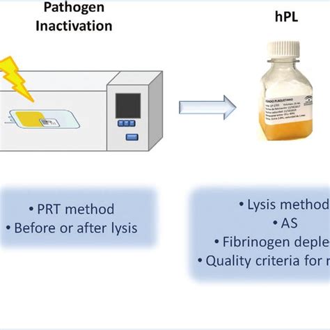 (PDF) Gaps in the knowledge of human platelet lysate as a cell culture ...