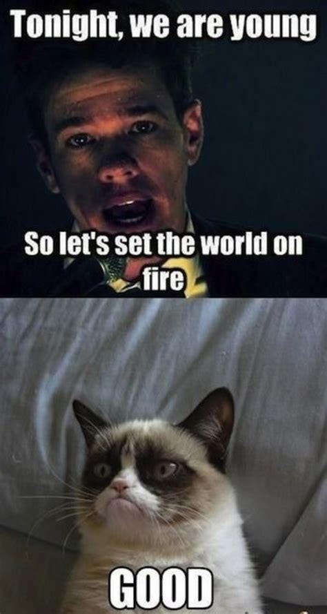 40 Funny Grumpy Cat Memes