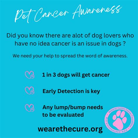 Dog Cancer Prevention - The National Canine Cancer Foundation