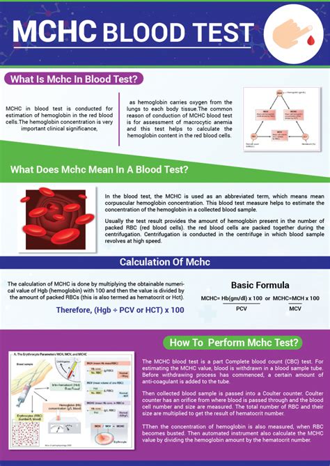 MCHC Blood Test - Low, High, Levels, Causes, Calculation, Management