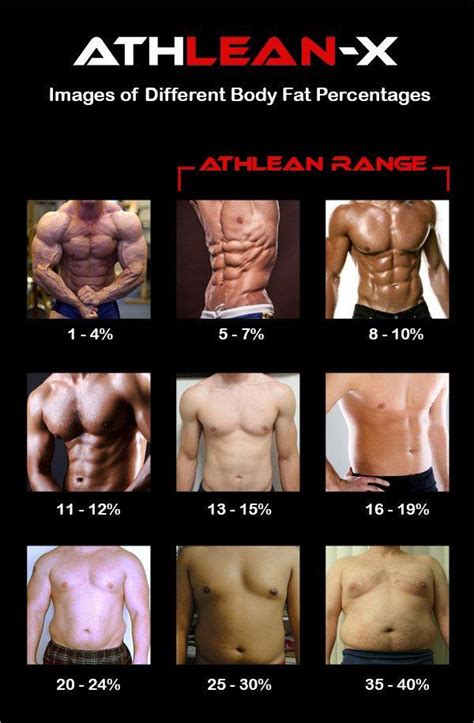 Different Body Fat Percentages for Men and Women | SkinnyTwinkie