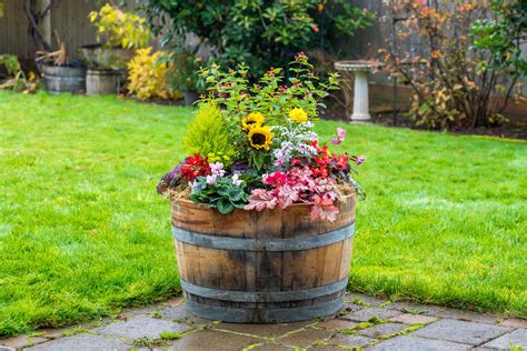 Whiskey Barrel Planter Ideas For Fall | Bruin Blog