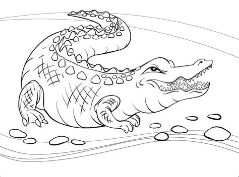 Angry Alligator coloring page - Download, Print or Color Online for Free