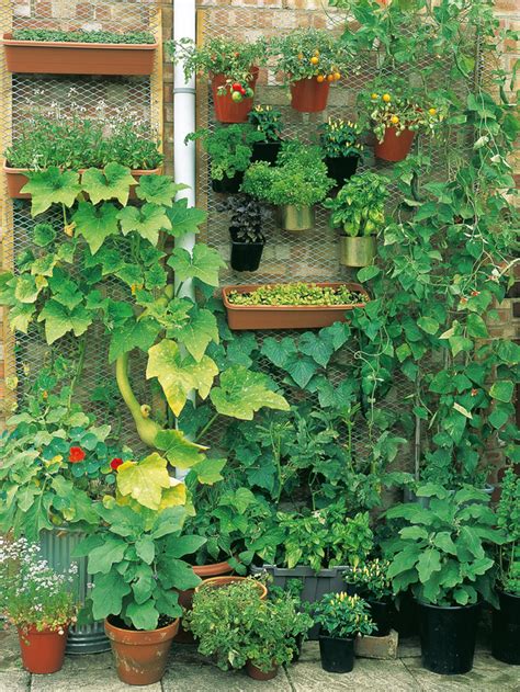 How to Grow a Vertical Vegetable Garden | how-tos | DIY