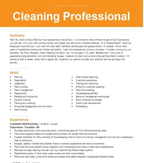 Cleaning Professional Resume Example