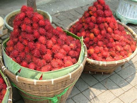 Rambutan Fruit Nutrition Facts and Recipes - CalorieBee