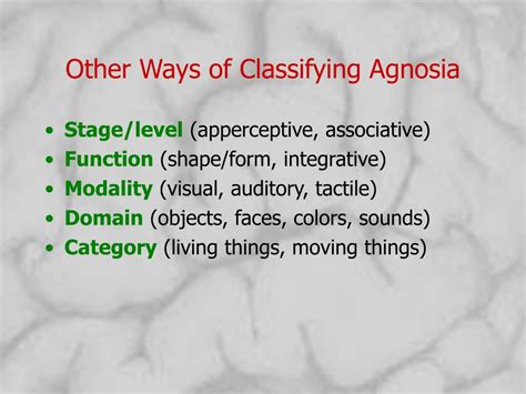 PPT - Agnosia and Perceptual Disturbances March 17, 2008 PowerPoint Presentation - ID:3889055