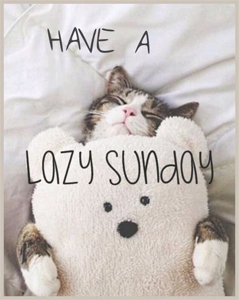 Have A Lazy Sunday sunday sunday quotes sunday images sunday pictures sunday quotes and sayings ...