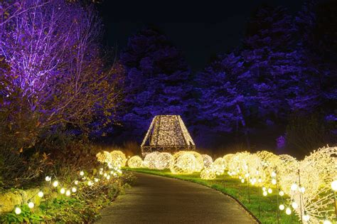 NYBG's Color-And-Light Experience, GLOW, Returns This Month