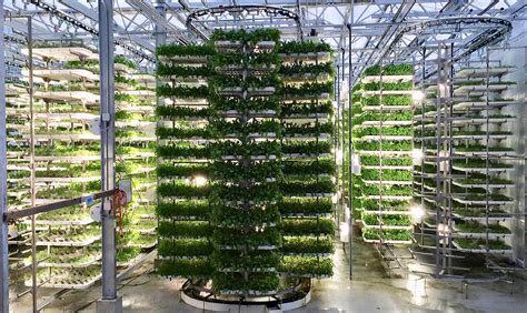 Is Vertical Farming Technology the Key to Smart Farming?