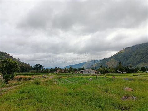 Countryside in the Caldera of Mount Toba Stock Image - Image of farm, agriculture: 270102931