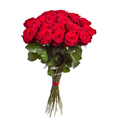 Rose Bouquet PNG Free Image | PNG All