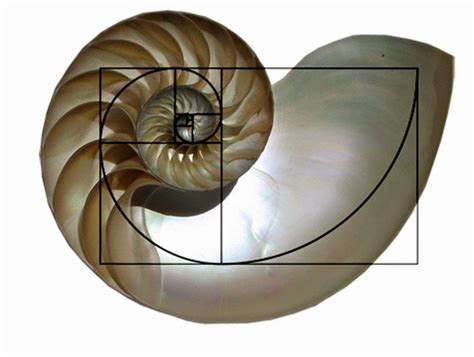 UMK-Art & Culture: Choosing Canvas Shapes 2 - The Golden Ratio