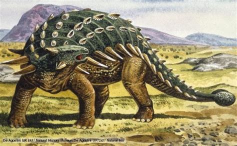 Paleontologist Describes Mysterious Armored Dinosaurs From Jurassic Period – Way Daily