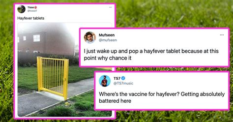 Hay fever memes: 27 tweets you'll relate to if you suffer from hay fever hell