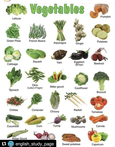 Pin by Feyza Basturk on Vocabulary | Name of vegetables, Vegetable chart, List of vegetables