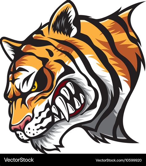 Angry tiger head Royalty Free Vector Image - VectorStock