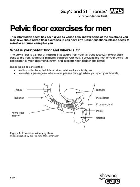 Pelvic Floor Exercises for Men | Urinary Incontinence | Urology