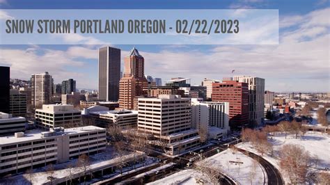 Portland Oregon Snow 2024 - Nan Lauren