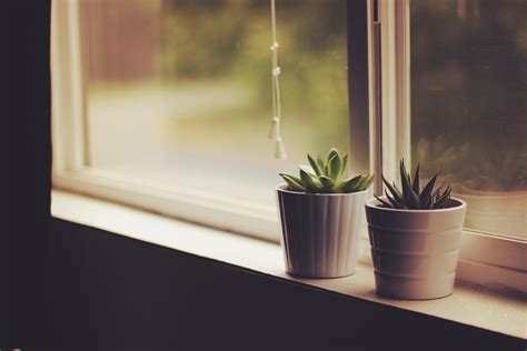 Window Sill Planters Outdoor