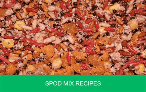 Spod Mix Recipes (10 Great Ones To Try) | Carp 'n' Bait.co.uk