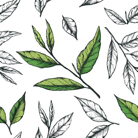 Premium Vector | Vector illustration of tea leaves seamless pattern ...