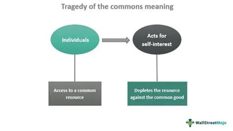 Tragedy Of The Commons - Definition, Solutions, Examples