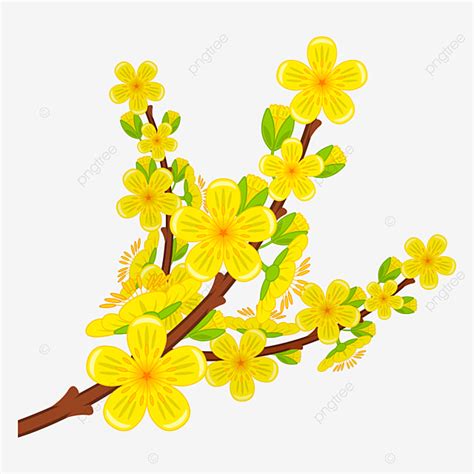 Yellow Apricot Blossom Vector Hd Images, Apricot Blossom Tree Branch ...