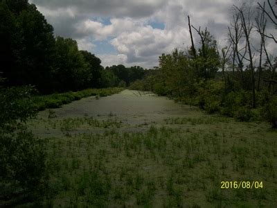 PEE DEE NATIONAL WILDLIFE REFUGE: VISIT AND PHOTOS - The Carolinian's ...