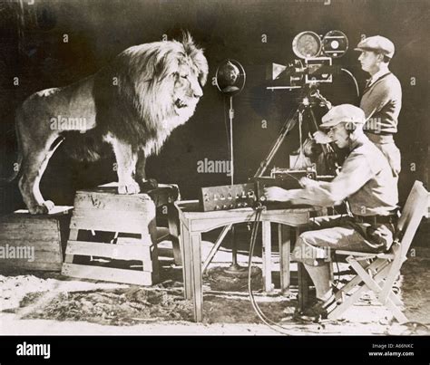 Mgm studios lion hi-res stock photography and images - Alamy