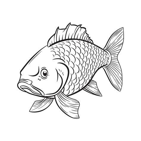 Fish Outline Drawing Vector Fmfoe Sketch, Fish Drawing, Wing Drawing, Carp Drawing PNG and ...