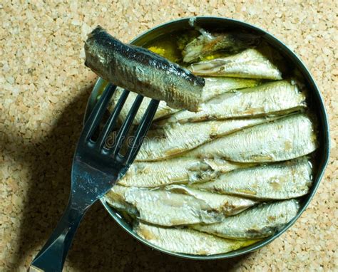 Sardines in oil stock photo. Image of piled, fish, seafood - 2535156