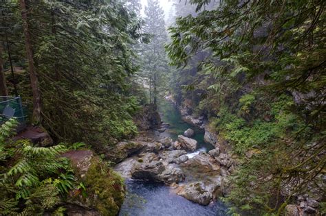 Lynn Valley Park / Lynn Canyon Suspension Bridge In Lynn Valley Provincial Park Stock Photo ...