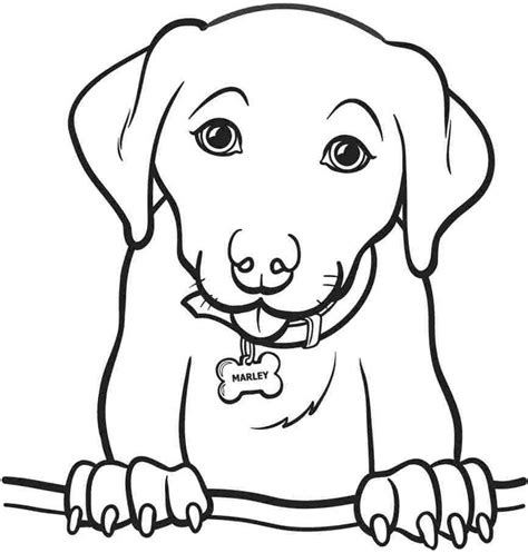 coloring pages for girls to print out dog pitchers dogs printable animal dogs coloring sheets ...